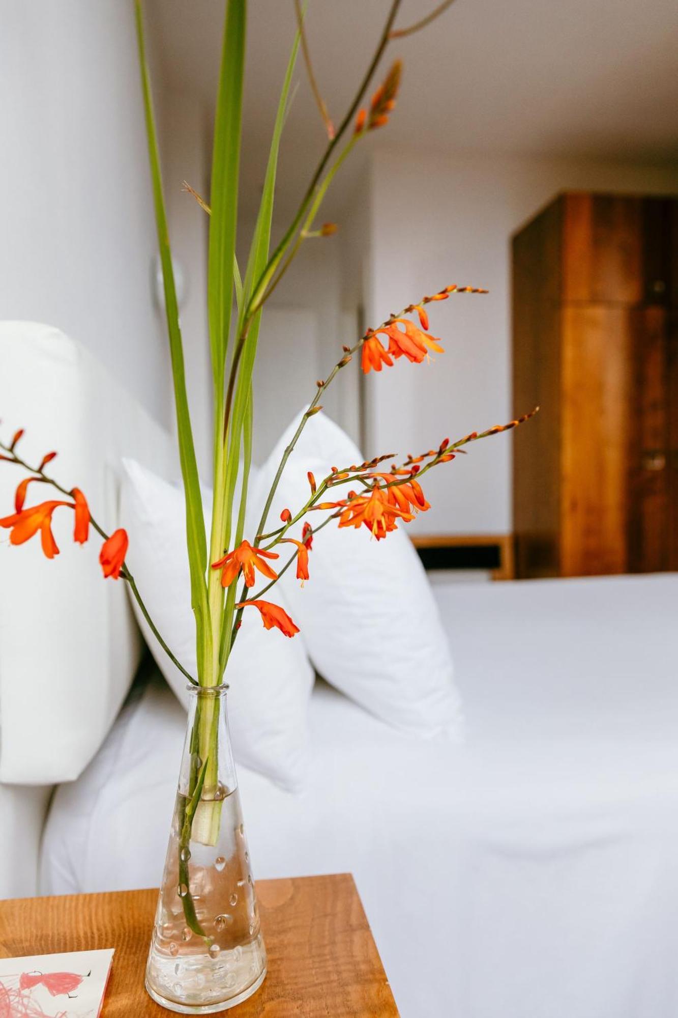 Hotel El Castano Dormilon Santa Marta de Ortigueira Ngoại thất bức ảnh
